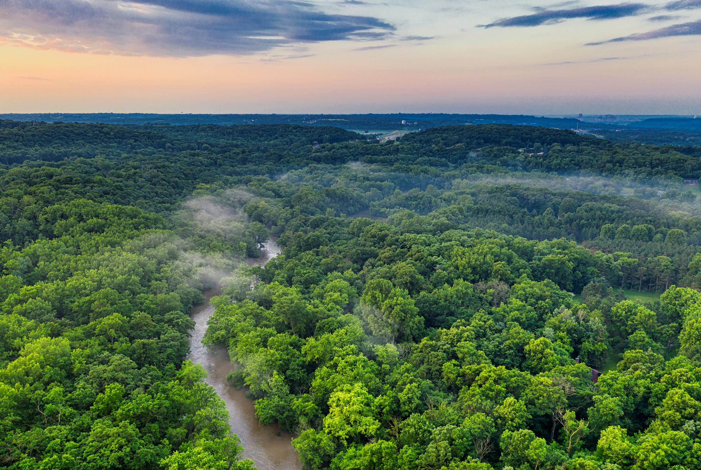 amazon forest